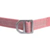 Field Dog Leash