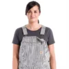 Railroad Stripe Denim Bib Overalls